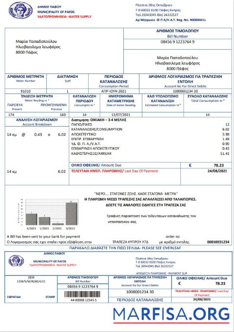 Blank Cyprus water utility bill example